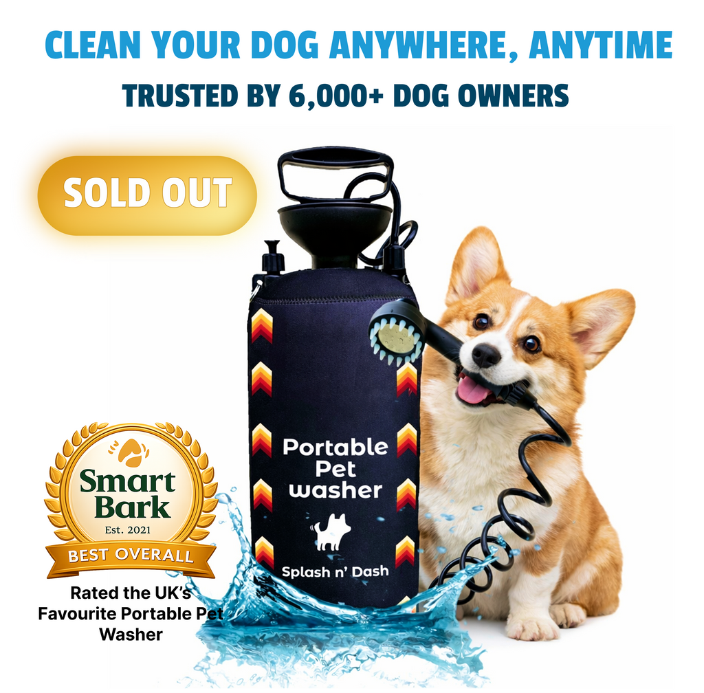 8L Portable Washer