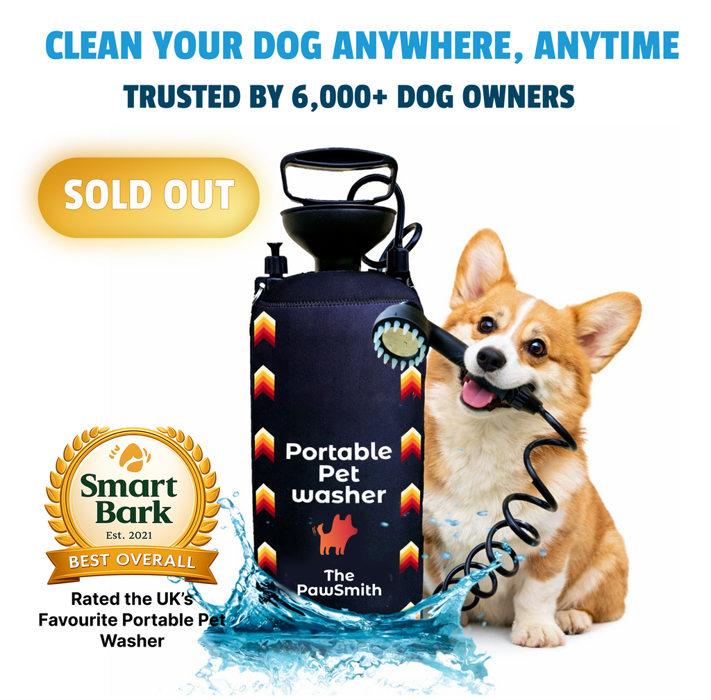 Portable Dog Washer | 8L Shower Kit with Brush Head